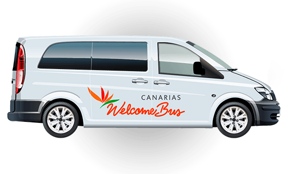 home transport minivan